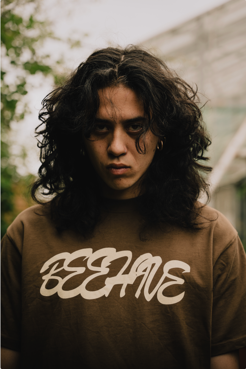 BEEHIVE SHOOTING - COLLECTION ATLAS