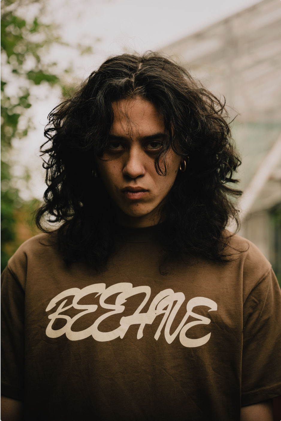 BEEHIVE SHOOTING - COLLECTION ATLAS