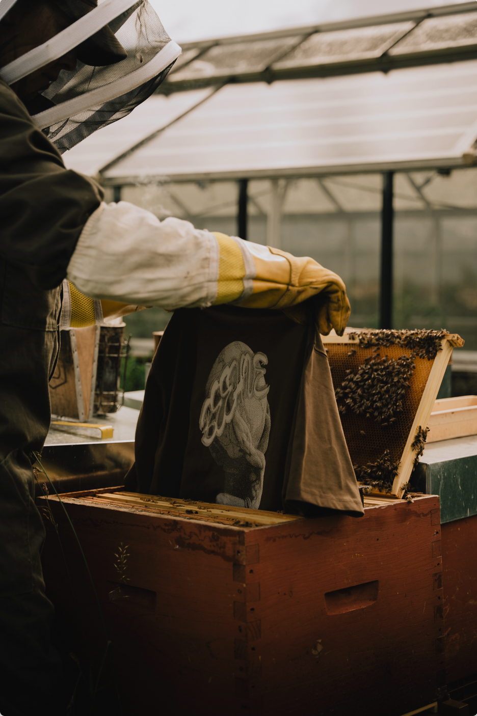 BEEHIVE SHOOTING - COLLECTION ATLAS